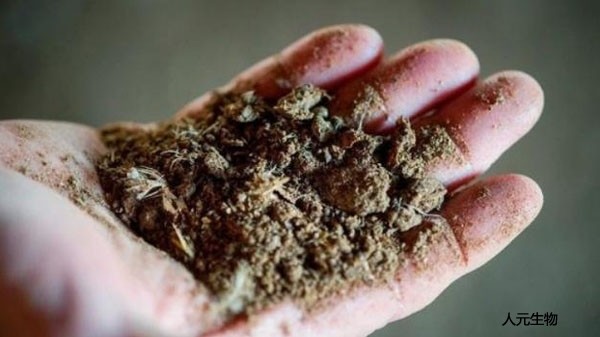 施用畜禽糞便有機(jī)肥需要注意哪些？