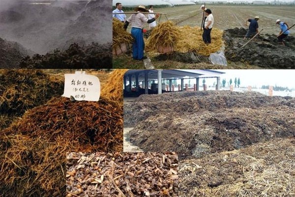 秸稈有機肥需要怎樣發(fā)酵好？