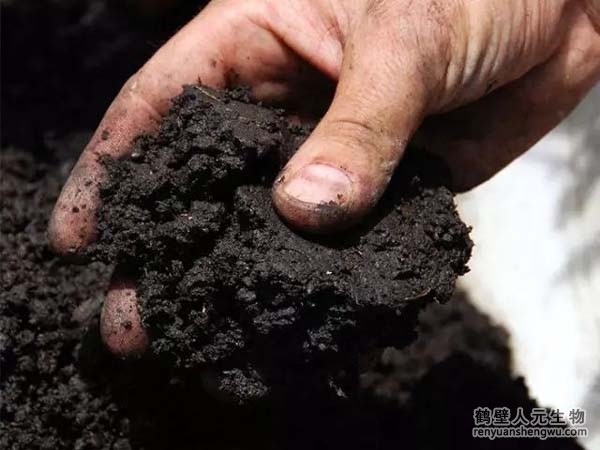 每畝地施用多少有機(jī)肥，土壤有機(jī)質(zhì)才能增加1%？