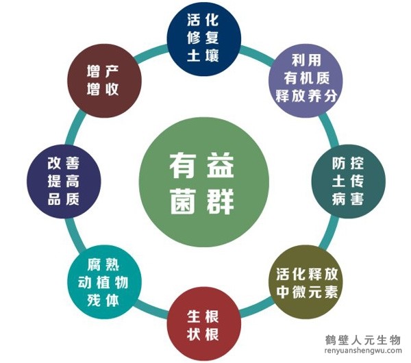 都說微生物菌劑產(chǎn)品貴，你卻不知道土壤微生物到底有多重要！