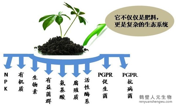 都說微生物菌劑產(chǎn)品貴，你卻不知道土壤微生物到底有多重要！