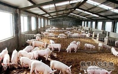 豬糞是如何發(fā)酵成有機肥料的？