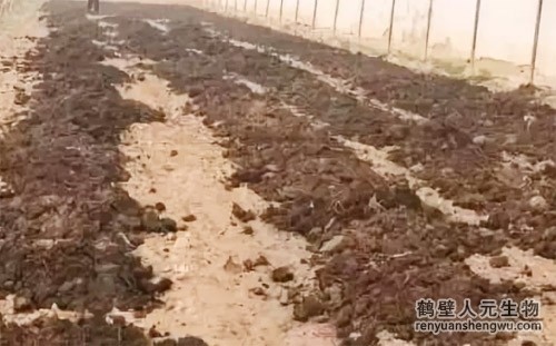 豬糞是如何發(fā)酵成有機肥料的？