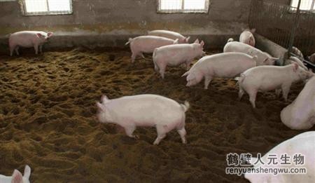 動(dòng)物糞便的成分究竟是什么？