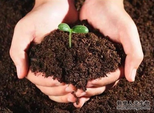 生物發(fā)酵生產有機肥料的優(yōu)點