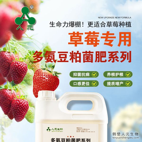 多氨豆粕菌肥系列草莓專用肥由河南省微生物菌劑工程技術(shù)研究中心研制，鶴壁市人元生物技術(shù)發(fā)展有限公司生產(chǎn)，本品是以固態(tài)發(fā)酵豆粕為主要原料，豆粕經(jīng)過有益微生物菌種發(fā)酵分解，充分釋放游離氨基酸，同時(shí)輔以枯草、地衣、膠凍樣芽孢桿菌等有益菌群。
