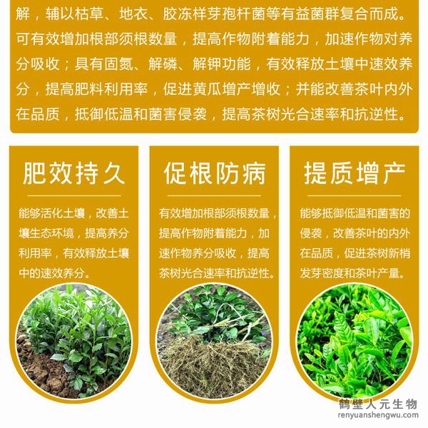 有效的抵御低溫和菌害的侵襲；同時(shí)，使用本品能在一定程度上降解或減少茶葉中的農(nóng)殘及重金屬含量，并能改善茶葉的內(nèi)外在品質(zhì)。使用本品種植的茶葉在氨基酸、茶多酚和咖啡因的含量上都有提高。