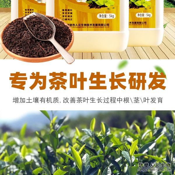 可增加根部須根數(shù)量，提高作物的附著能力；使作物主根粗壯、須根濃密，加速作物對(duì)養(yǎng)分的吸收；富含的有益菌具有固氮、解磷、解鉀功能，有效釋放土壤中的速效養(yǎng)分，提高肥料利用率，增加茶葉產(chǎn)量。