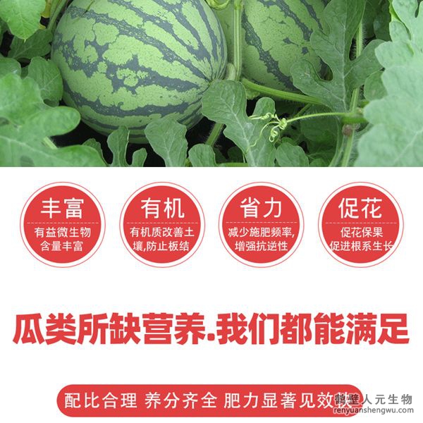 提高肥料利用率，增加瓜類產(chǎn)量，提高授粉率和坐瓜率，減少生理性落花落果，使幼瓜迅速增大；成熟果實個大均勻、果肉密實、色澤鮮艷、嬌嫩多汁、口感好、甜度高、提高品質(zhì)，增加產(chǎn)量，減少瓜類土傳病害發(fā)生蔓延。