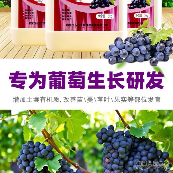 可有效增加根部須根數(shù)量，提高作物的附著能力；使作物主根粗壯、須根濃密，加速作物對養(yǎng)分的吸收；