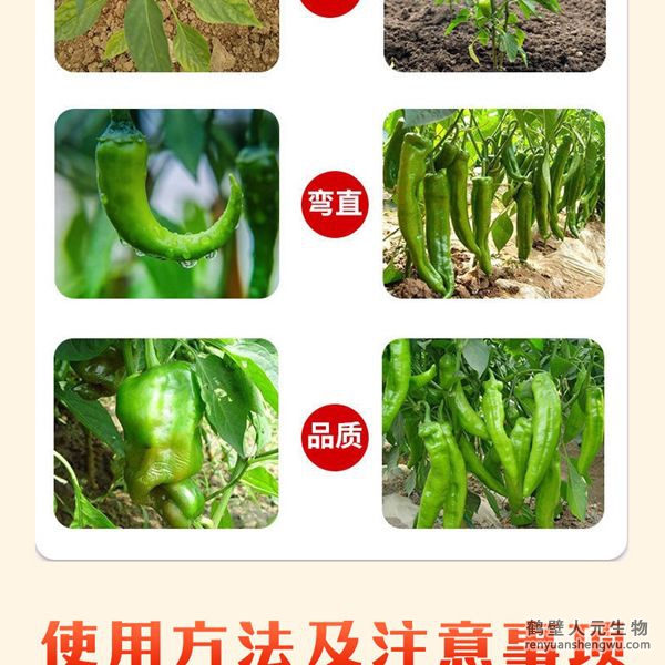 多氨豆粕菌肥系列辣椒專(zhuān)用肥使用效果圖2