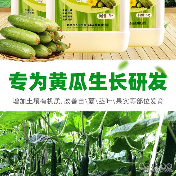 可有效增加根部須根數(shù)量，提高作物的附著能力；使作物主根粗壯、須根濃常，加速作物對養(yǎng)分的吸收；富含的有益菌具有面氮、解磷、解鉀功能，有效釋放土壤中的速效養(yǎng)分，