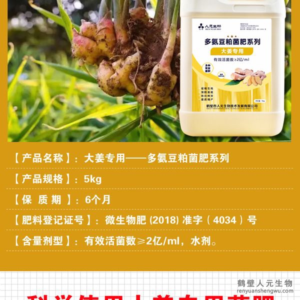 提高大姜膨產(chǎn)活力，姜多、姜大，姜面光滑，姜型健壯，提高品質(zhì)，對(duì)姜腐?。ń?有好的防治作用。并能提高改善大姜口感，使大姜辛辣清香味道純。使果面潔凈、色澤誘人、口感上佳，并能提早果實(shí)上市時(shí)間。