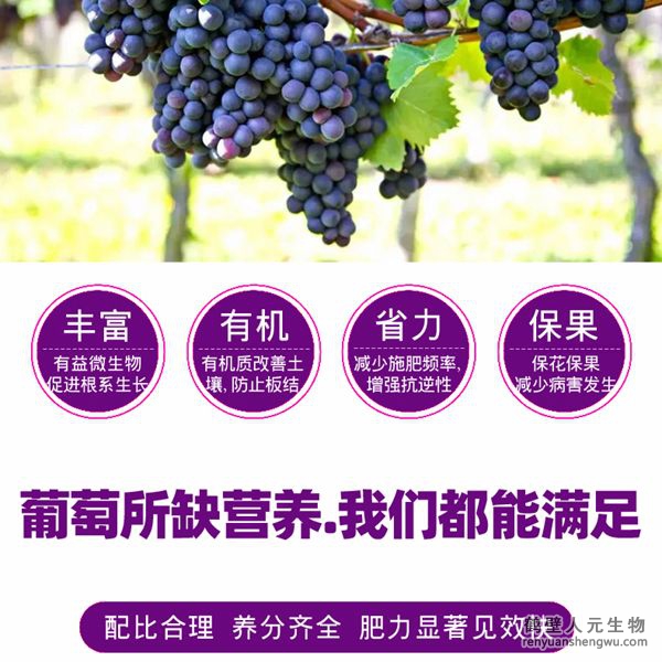 富含的有益菌具有固氮、解磷、解鉀功能，有效釋放土壤中的速效養(yǎng)分，提高肥料利用率，增加葡萄產(chǎn)量，提高葡萄抗逆能力，減少霜霉病、白粉病、炭疽病的發(fā)生。