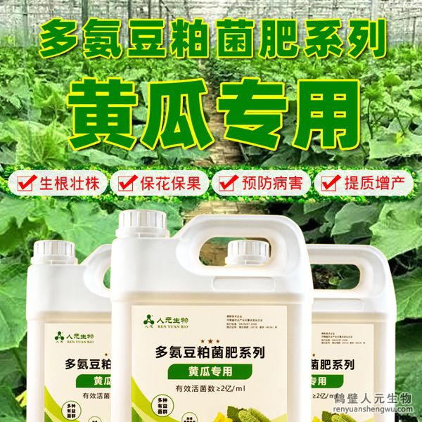多氮豆粕菌肥系列黃瓜專用肥由河南省微生物菌劑工程技術(shù)研究中心研制，鶴壁市人元生物技術(shù)發(fā)展有限公司生產(chǎn)，本品是以固態(tài)發(fā)酵豆粕為主要原料，豆粕經(jīng)過有益微生物菌種發(fā)酵分解，充分釋放游離氨基酸，同時輔以枯草、地衣、膠凍樣芽孢桿菌等有益菌群。