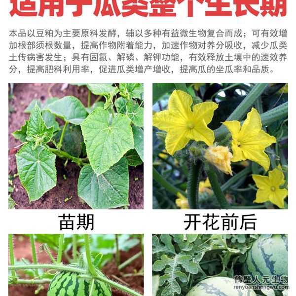 多氨豆粕菌肥系列瓜類專用肥適用范圍：適用于西瓜、甜瓜、哈密瓜等瓜類作物。