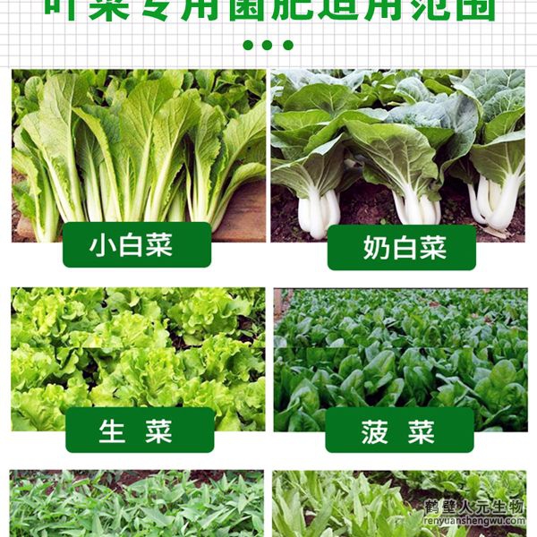多氨豆粕菌肥系列葉菜類專用肥適用范圍：適用于生菜、雍菜、油菜、茼蒿、芹菜、菠菜、木耳菜、油麥菜、韭菜、娃娃菜、空心菜、菜心、莧菜等葉菜類作物。
