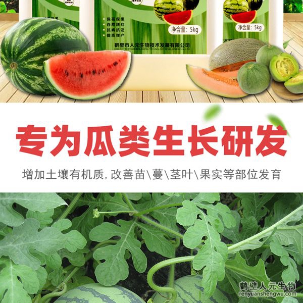 可有效增加根部須根數(shù)量，提高作物的附著能力；使作物主根粗壯、須根濃密，加速作物對養(yǎng)分的吸收；富含的有益菌具有固氮、解磷、解鉀功能，有效釋放土壤中的速效養(yǎng)分，