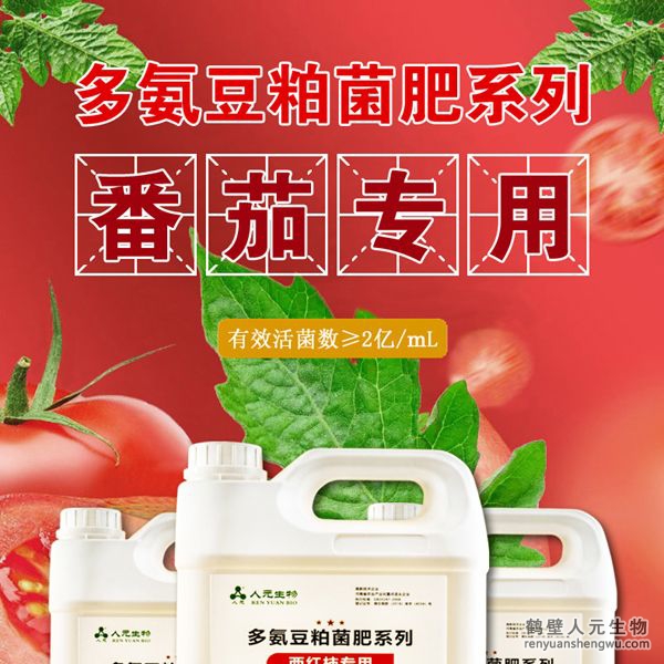 多氨豆粕菌肥系列西紅柿專用肥由河南省微生物菌劑工程技術(shù)研究中心研制，鶴壁市人元生物技術(shù)發(fā)展有限公司生產(chǎn)，本品是以固態(tài)發(fā)酵豆粕為主要原料，豆粕經(jīng)過有益微生物菌種發(fā)酵分解，充分釋放游離氨基酸，同時(shí)輔以枯草、地衣、膠凍樣芽孢桿菌等有益菌群。