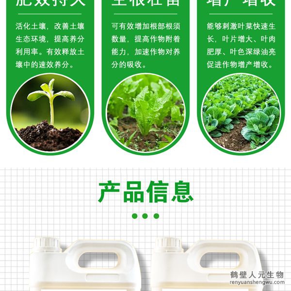 施用后各種營(yíng)養(yǎng)物質(zhì)能夠被葉菜迅速吸收并在體內(nèi)自由傳導(dǎo)，能夠刺激葉菜生長(zhǎng)細(xì)胞組織的快速分裂與增長(zhǎng)，使葉菜快速生長(zhǎng)，強(qiáng)化葉菜體內(nèi)新陳代謝，加速蛋白質(zhì)合成，促進(jìn)葉綠素的形成，增強(qiáng)光合作用，