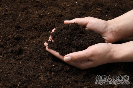枯草芽孢桿菌在土壤中起到的作用？