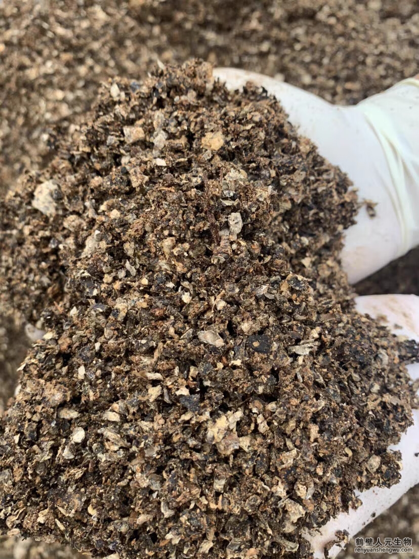 蘑菇渣的營養(yǎng)成份真的一樣嗎？